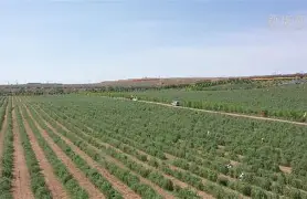 开元棋牌官网-九极战神百度百科女主