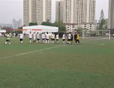 足球任意球战术有哪些